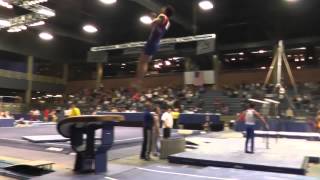 Timothy Wang - Vault - 2013 Winter Cup Prelims