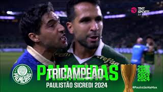 Minutos finais de Palmeiras 2x0 Santos (FINAL DO PAULISTA 2024)