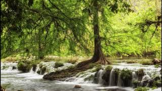 خالد الحلاق   بغار عليك