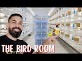 Exotic birdkeeper cleaning the bird breeding room  aviary 