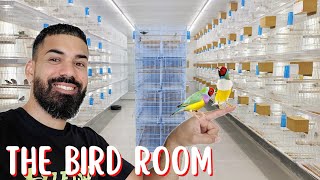 EXOTIC BIRDKEEPER cleaning the Bird Breeding Room & Aviary
