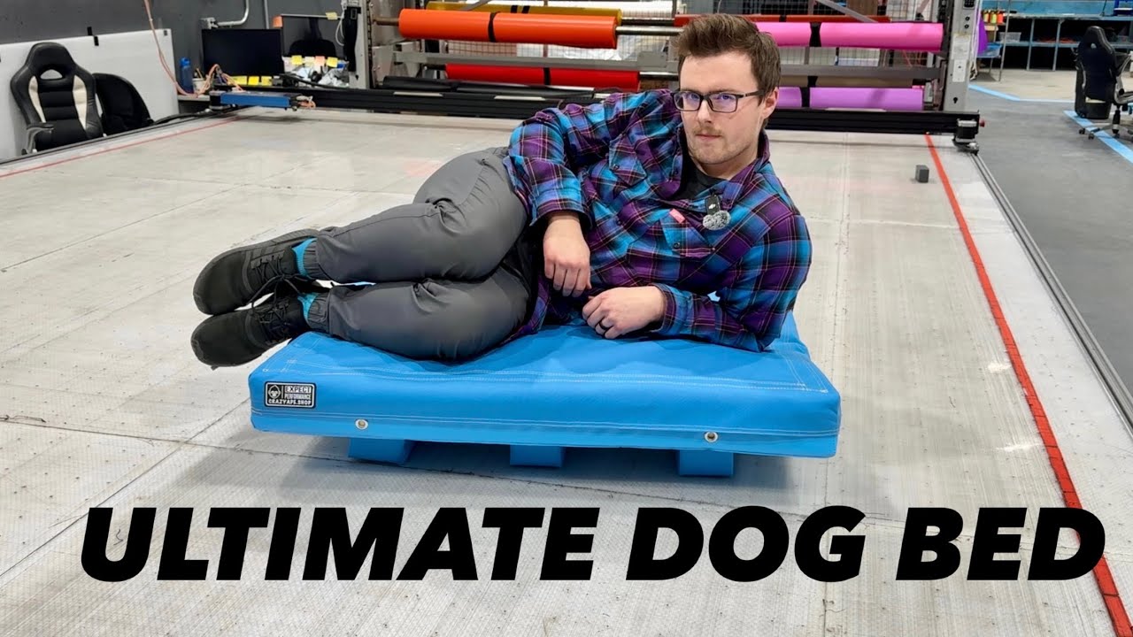 Trampoline Company Makes World's Best Dog Beds - YouTube