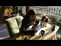 #79 夢のつり橋|寸又峡温泉|ネコ飼いからの手紙