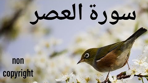 Surat 103 Al-Asr سورة العصر non copyright #quran #muhammadﷺ #arabic #noncopyrightedmusic