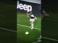 يا جداعن البل يا دار
