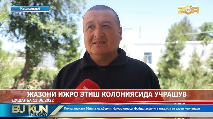 Qasoskorlar qora beva porno