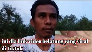 ini dia link video belatung yang viral di tiktok