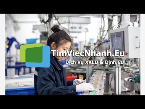 Danh sách 9 công ty xuất khẩu lao động hàng đầu tại Đồng Tháp năm 2025