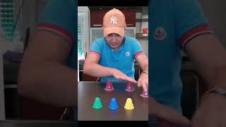 Guess The Color Indovinaccolaore