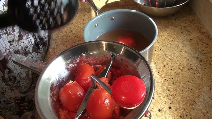 The tomato strainer - a magical tool - Tom Press