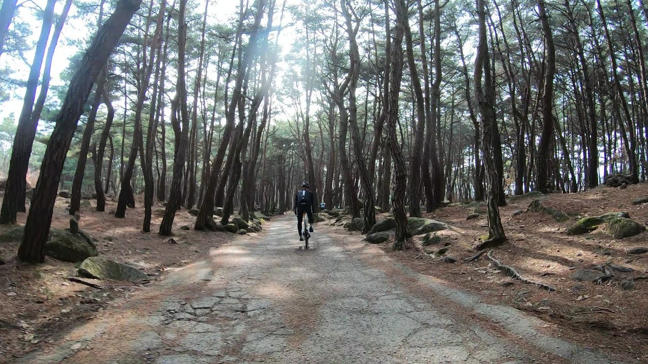 대구 팔공산순환도로 동ㆍ파라이딩 동화사~파계사(라이딩거리:52km  누적고도:991m)