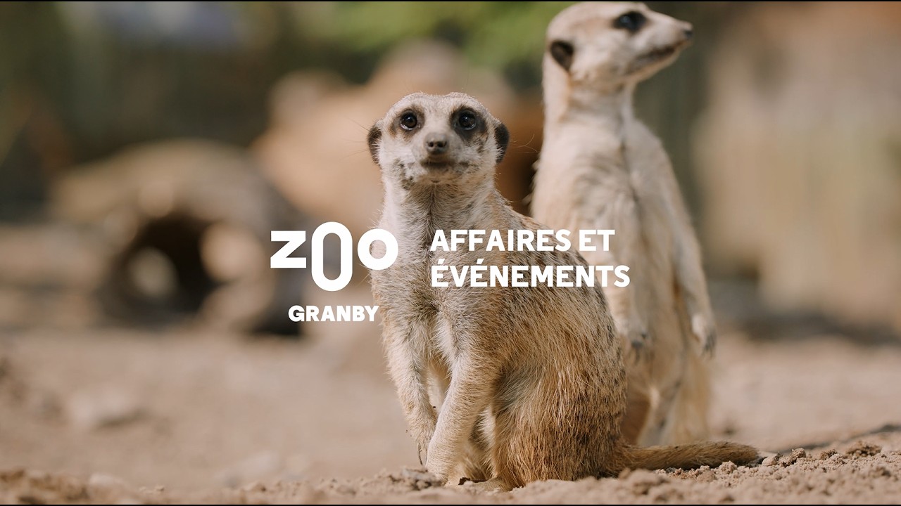 Soyez différent - Affaires & Événements Zoo de Granby