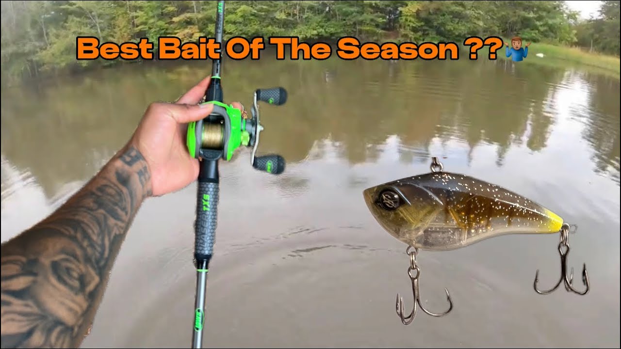 I Went Fishing With One Bait And This Happened…….