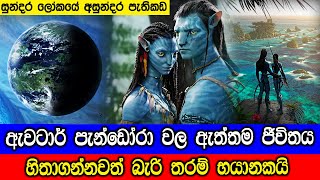 ඇවටාර් පැන්ඩෝරා වල ඇත්තම ජීවිතය මොනවගේද ?