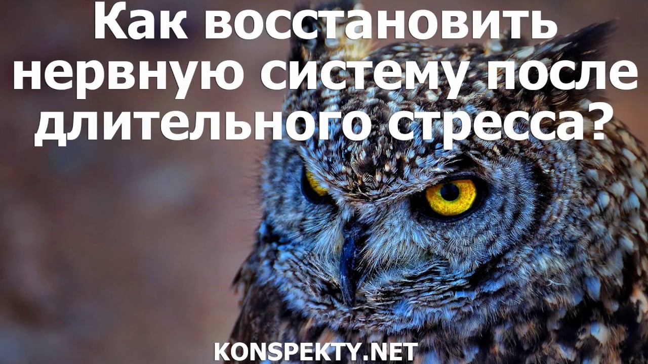 Как восстановить нервную систему после длительного стресса?