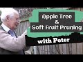 Apple tree  soft fruit pruning  how to prune  peter seabrook