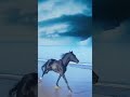 Black horse shorts subscribe horse animals viral foryou