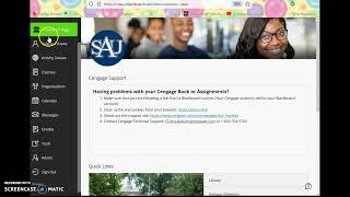 Browsing Users and Courses as a University Admin