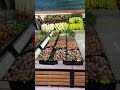 Vegetable rack | Hypermarket Racks  | THOUFEEQUE STEEL WORLD | #shorts #racks #vegetable