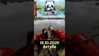 Ахтуба Лосось Каспийский 15.10.2025 #рр4 #fishing#rf4 #rr4 #рыбалка#точкиклева#русскаярыбалка4#рыба