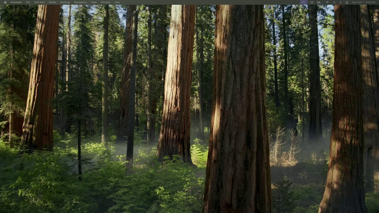 Northminster Presbyterian Church Sunday Service | 02-01-26