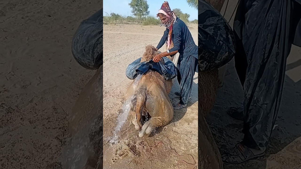 يدها تتحرك برفق في الماء.! 