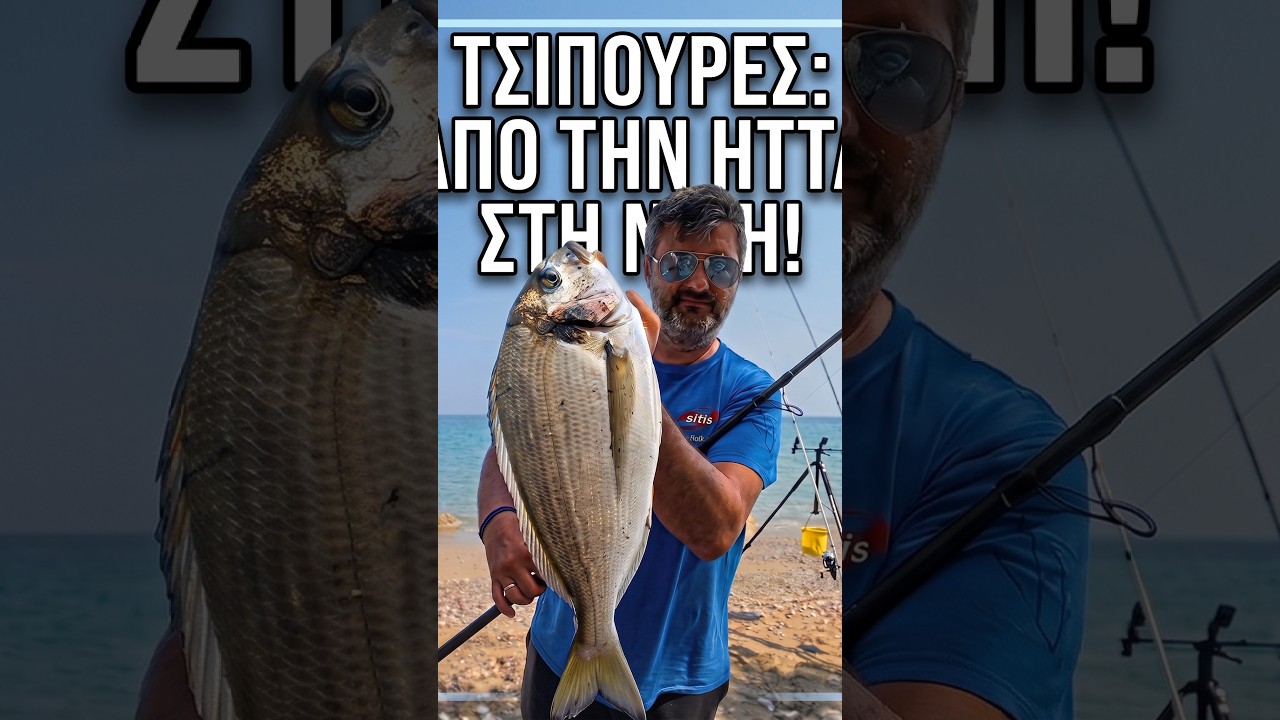 Ψάρεμα Τσιπούρας με Surfcasting 🔥#surfcasting #tsipoura #sifisfishing