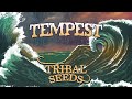 Tribal seeds  tempest official audio