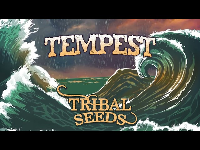 Tribal Seeds - Tempest (Official Audio) class=