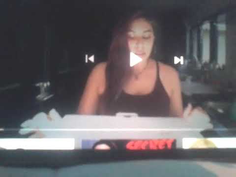 Reaction to Ihascupquak robot cat (their dogs reaction) - YouTube