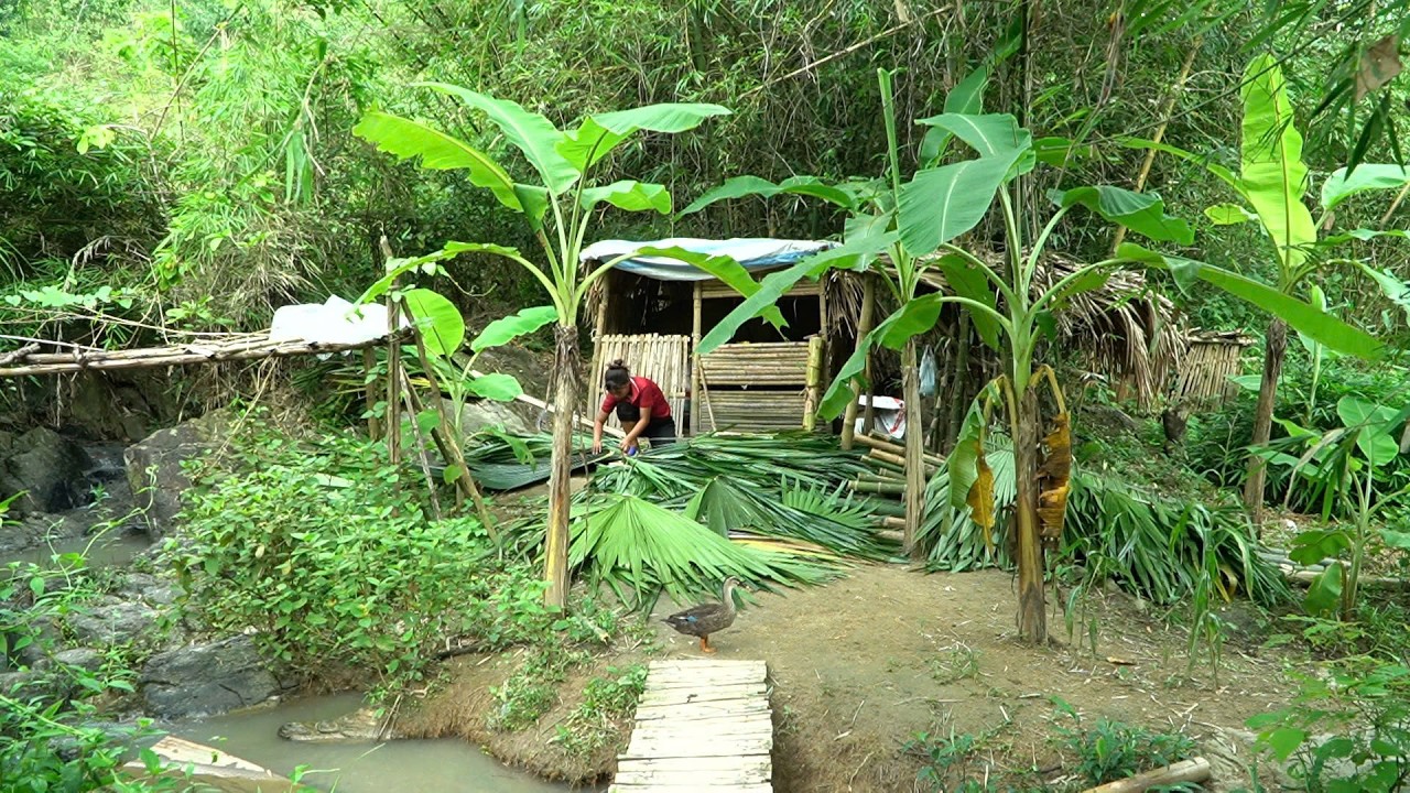 Single mother - the process of gathering bamboo to build a new kitchen, raising two children.