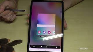 Samsung Galaxy Tab S6 (Lite): How to take a screenshot/capture? screenshot 4