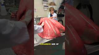 Celebrity Rare Historical Photos That'll SHOCK You! #rarephotos #vintagephotos #amazinghistory Profile