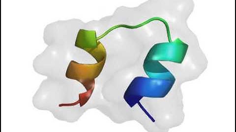 The dynamics of peptide structure (pdb:1HUI)
