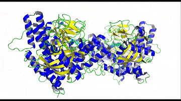 Aurora Kinase - pymol movie