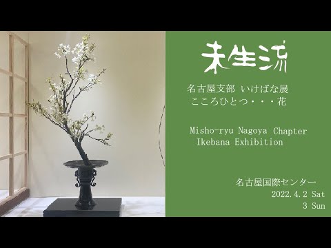 いけばな全書 小学館 全8巻 池坊2 古流2 龍生派 未生流 草月流 小原流 未生流公式 2 - YouTube