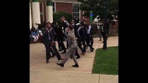 Famu Beta Nu Alphas A-Walk 2017