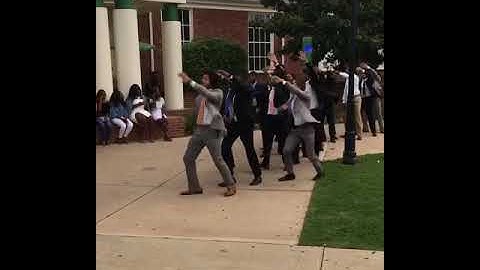 Famu Beta Nu Alphas A-Walk 2017