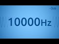 10000Hz,10Khz, #tinnitus #tinnitusrelief #tinnitusmasking #hearing #hearingaid 
