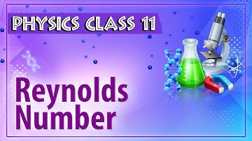 Reynolds Number - Friction - Physics Class 11 - HSC - CBSE - IIT JEE - NEET