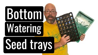 Grow Healthier Seedings with Bottom Watering