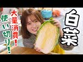 【白菜1/2使い切り】大量消費にもってこい！な簡単レシピで4品作ります！