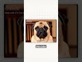 This FREE AI Tool Creates Cinematic Videos in Minutes Better Than Most AI Editors! #ai #chatgpt