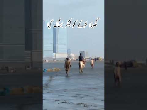 HORSE RAN WITH BOY ON THE BEACH HORSE RUNNING FAST گھوڑا لڑکے کو لیکر بھاگ گیا SEA SIDE INCIDENT 