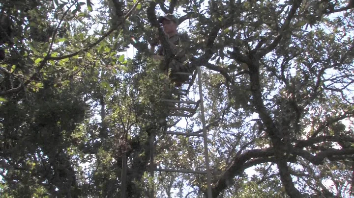 Archery Tip of the week | Shooting from different kinds of stands in the field.