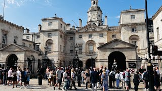 HORSES TAKEN BACK IN BECAUSE OF A MASSIVE PROTEST