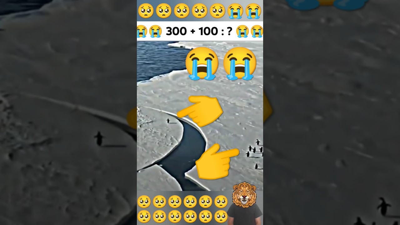 sad penguin 🐧 🥺🥺 & respect 🥺🥺🥺