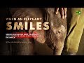 When an Elephant Smiles. Saving orphaned baby elephants amid massive scale ivory poaching in Africa