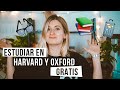 ASÍ PUEDES ESTUDIAR GRATIS EN HARVARD Y OXFORD  l 4 BECAS