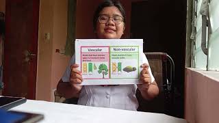 Plant Classification BEED 1-A